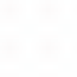 PTT Kargo Logo